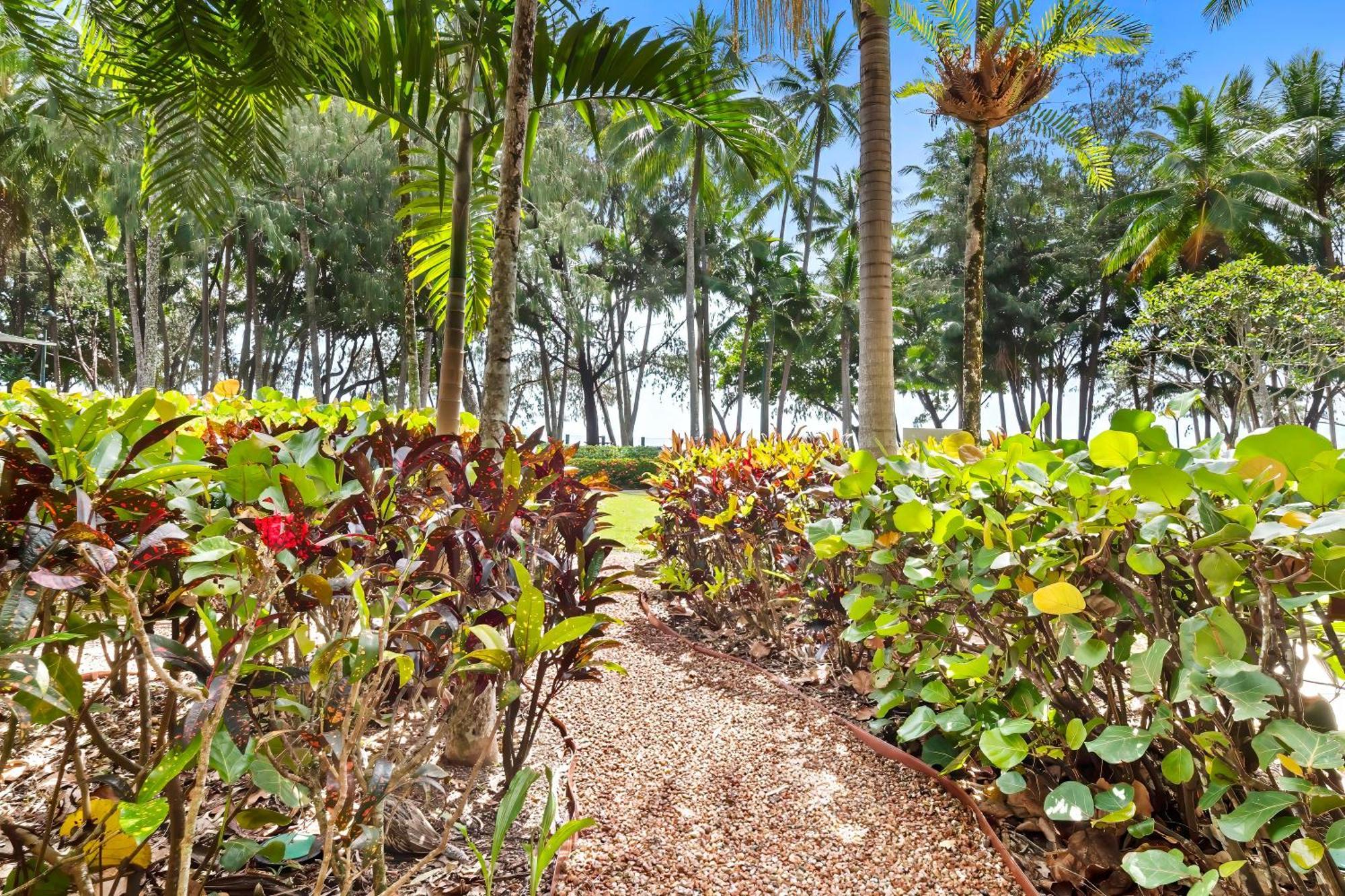 Amphora Laleuca Apartments Palm Cove Room photo